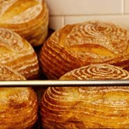 French Country Sourdough White Bread